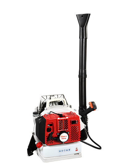 Hva er fordelene med bensinbladblåsere?